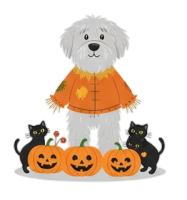 a dogy scarecrow with cats and pumpkins 